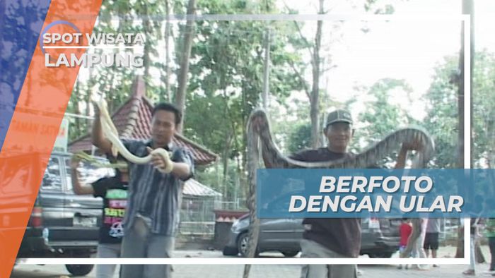 Sensasi Berfoto Dengan Ular Besar di Taman Satwa Lampung