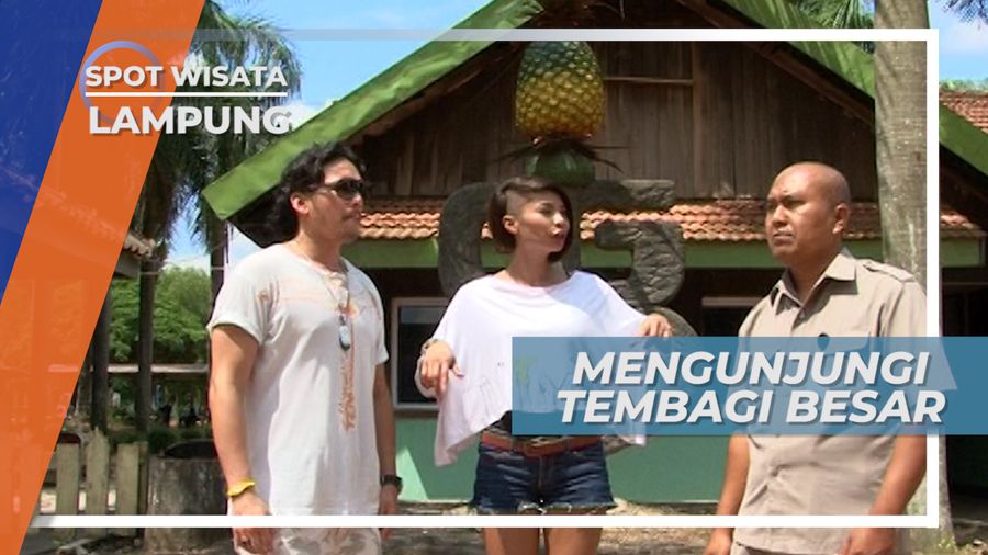 Mengunjungi Perkebunan Nanas Terbesar di lampung