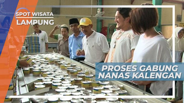 Melihat Proses Packing Olahan Nanas Kaleng Langsung di Pabriknya, Lampung