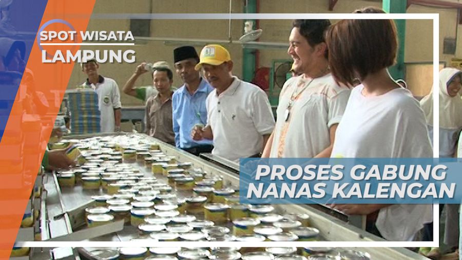 Melihat Proses Packing Olahan Nanas Kaleng Langsung di Pabriknya, Lampung