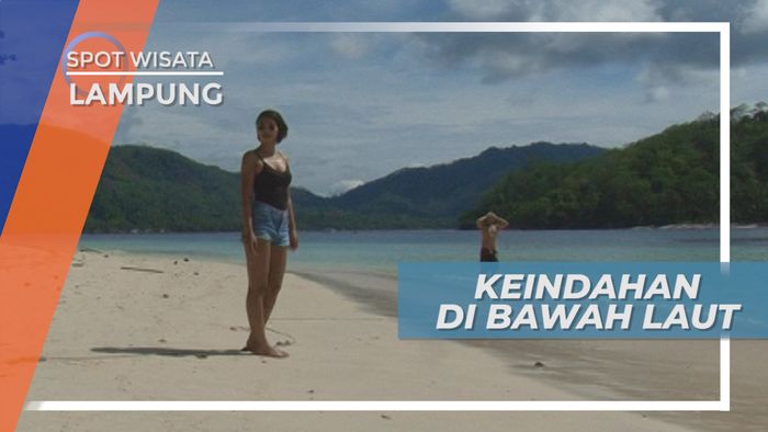 Snorkeling Menikmati Keindahan Bawah Laut Pulau Kiluan Lampung