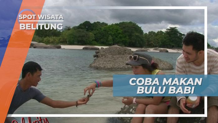 Memiliki Cita Rasa Seperti Kerang, Mencicipi Bulu Babi di Belitung