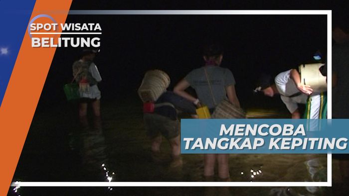 Udang, Kepiting, dan Ikan Kecil, Hasil Tangkapan di Pantai Pulau Bayan Belitung