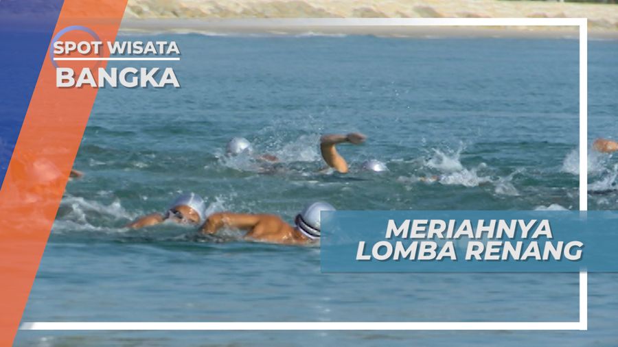 Menempuh Jarak 750 Meter, Meriahnya Lomba Renang di Bangka