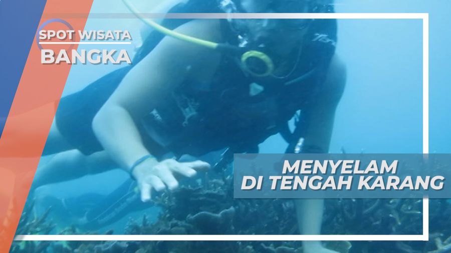  Indahnya Surga Bawah Laut Pantai Karang Kering, Bangka
