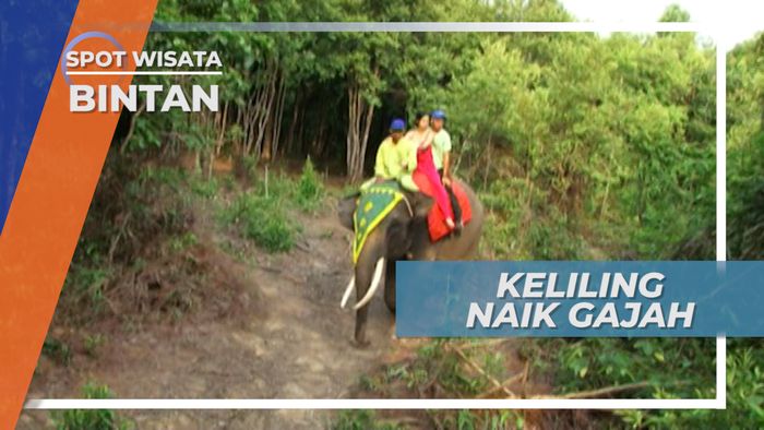 Asiknya Berkeliling Taman Wisata Dengan Naik Gajah, Bintan