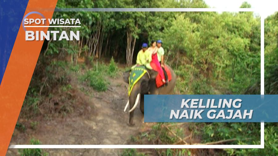 Asiknya Berkeliling Taman Wisata Dengan Naik Gajah, Bintan
