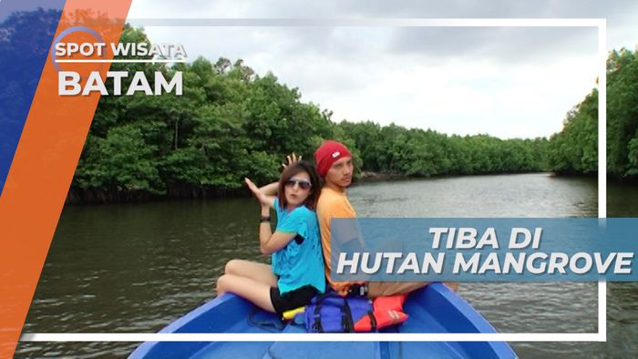 Rimbun Hijau Hutan Mangrove yang Kaya Manfaat, Batam