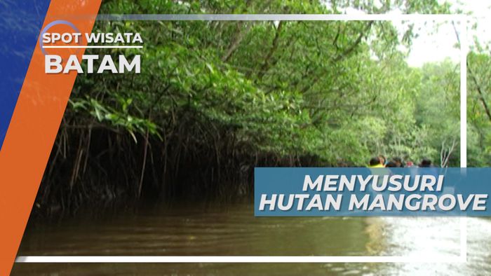 Hutan Mangrove, Habitat Satwa yang Harus Dipelihara Kondisinya, Batam