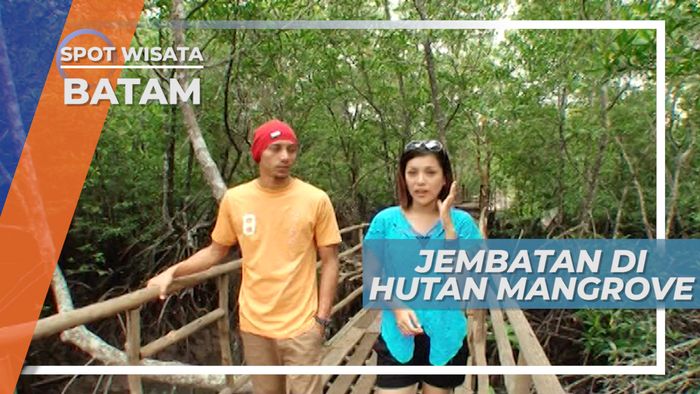 Jembatan Kayu di Tengah Hutan Mangrove, Batam