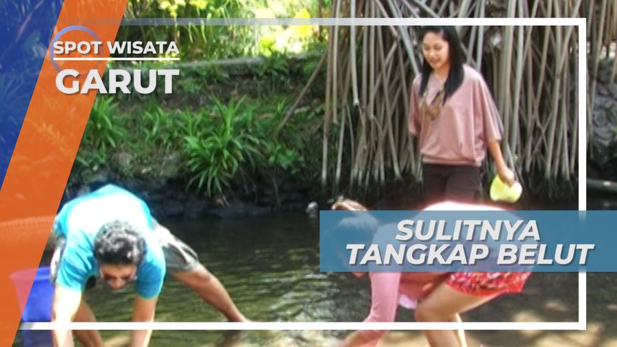 Licin Tapi Mengasyikkan, Adu Cepat Tangkap Belut di Garut Jawa Barat