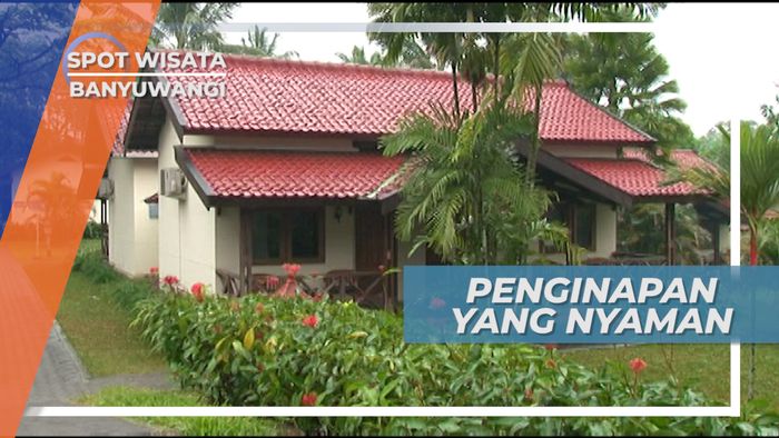 Penginapan Nyaman nan Asri di Banyuwangi Jawa Timur