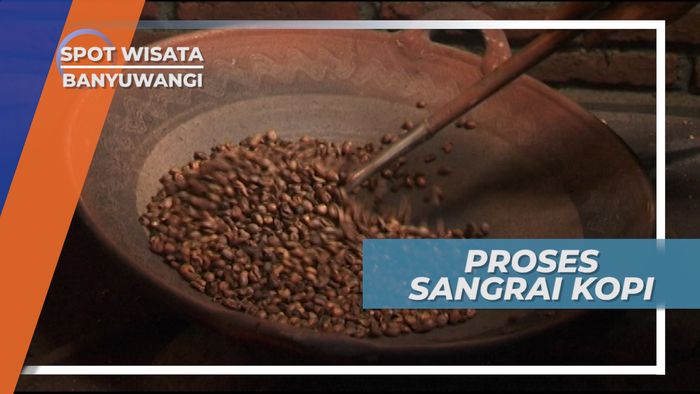Melihat Dari Dekat Cara Pembuatan Kopi di Desa Kemiren Banyuwangi