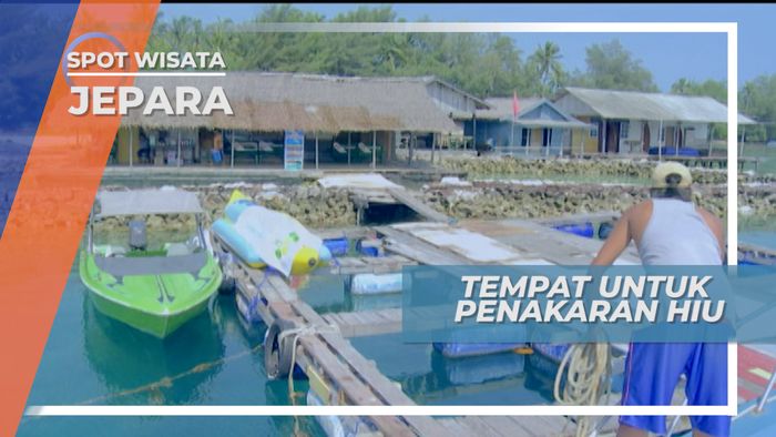 Berkunjung ke Tempat Penangkaran Hiu, Karimunjawa Jepara