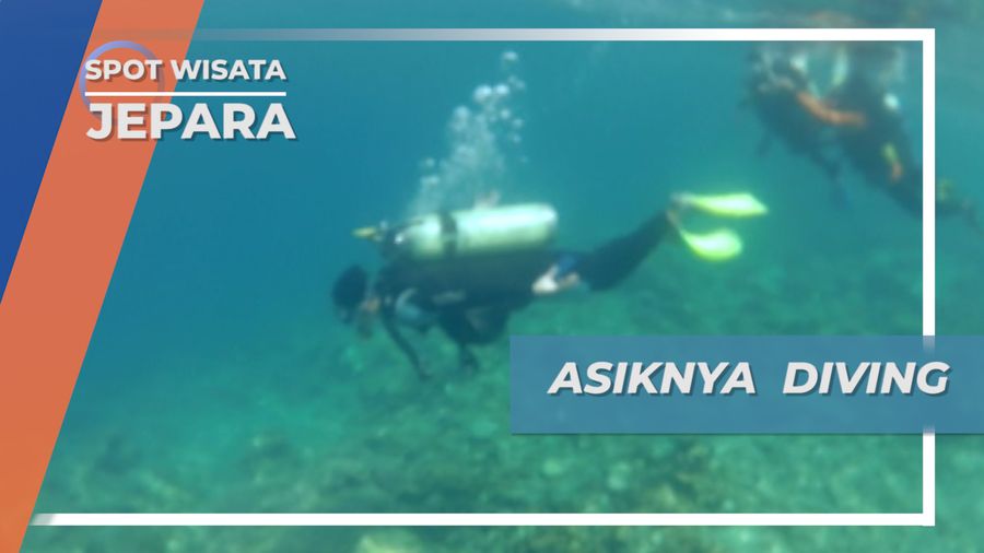 Menyelam Lebih Dalam, Menikmati Keindahan Biota Laut Karimunjawa Jepara