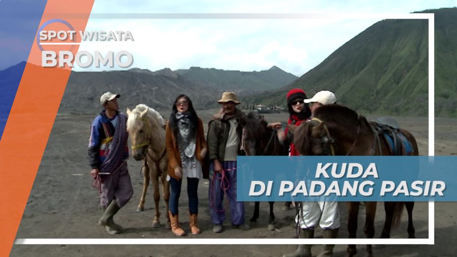 Menyewa Kuda Untuk Menjelajahi Padang Pasir Gunung Bromo Jawa Timur
