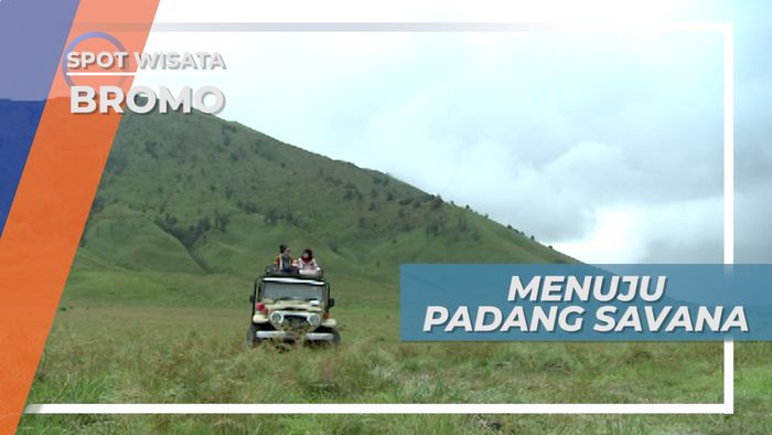 Padang Savana, Keindahan di Sisi Lain Gunung Bromo Jawa Timur