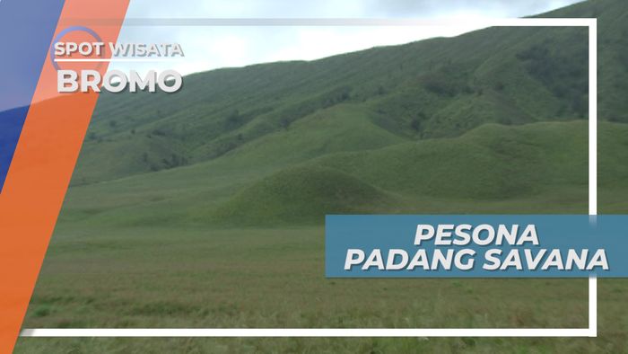 Bukit Teletubies, Hamparan Rumput Hijau yang Memanjakan Mata, Gunung Bromo