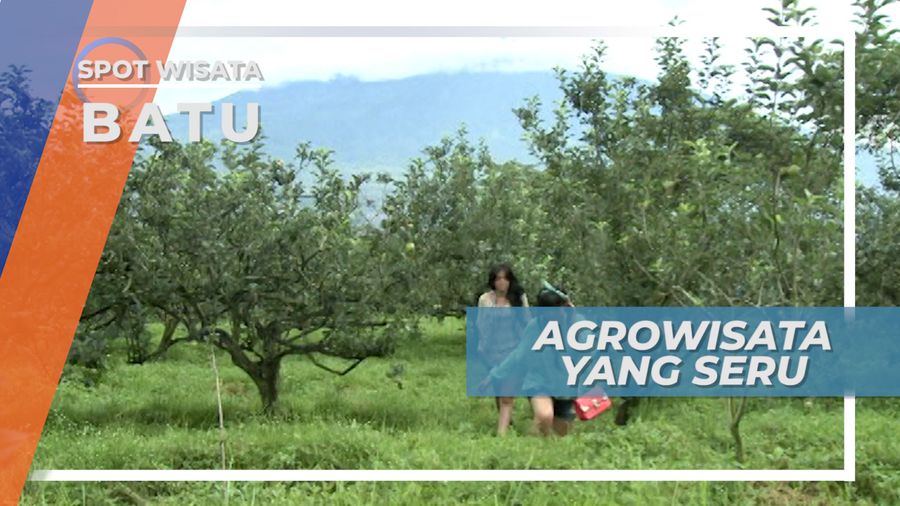 Berkunjung ke Kawasan Agrowisata Kota Batu Jawa Timur