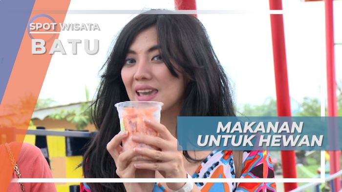 Batu Secret Zoo, Menjual Makanan Khusus Bagi Para Satwa