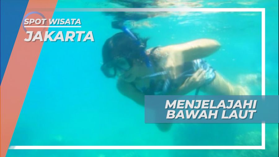  Mengintip Indahnya Surga Bawah Laut Pulau Semut, Jakarta