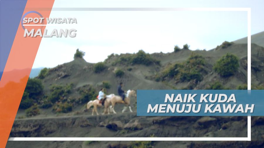 Menunggangi Kuda, Transportasi Unik Menjelajahi Gunung Bromo, Malang