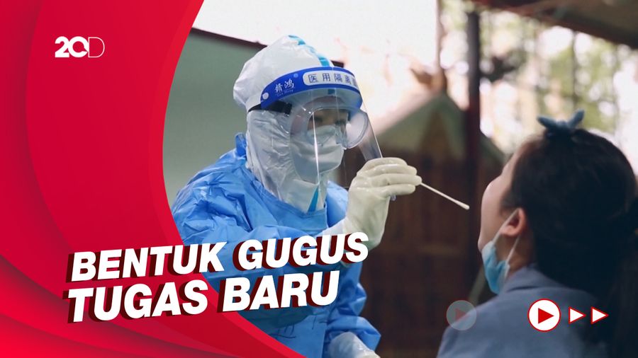 WHO: Kesempatan Terakhir Pencarian Asal-usul Corona