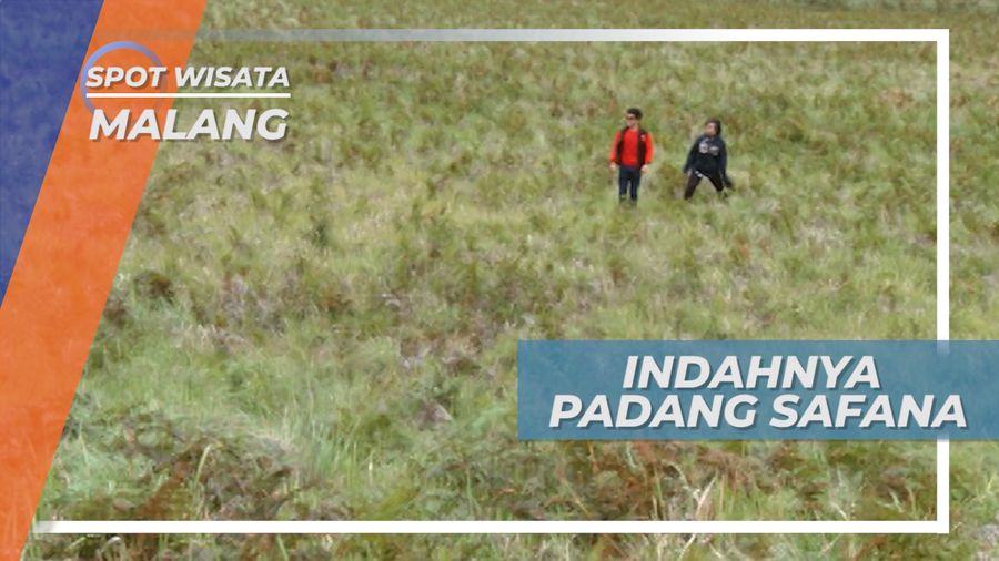 Padang Safana Malang, Bentangan Luas Padang Rumput