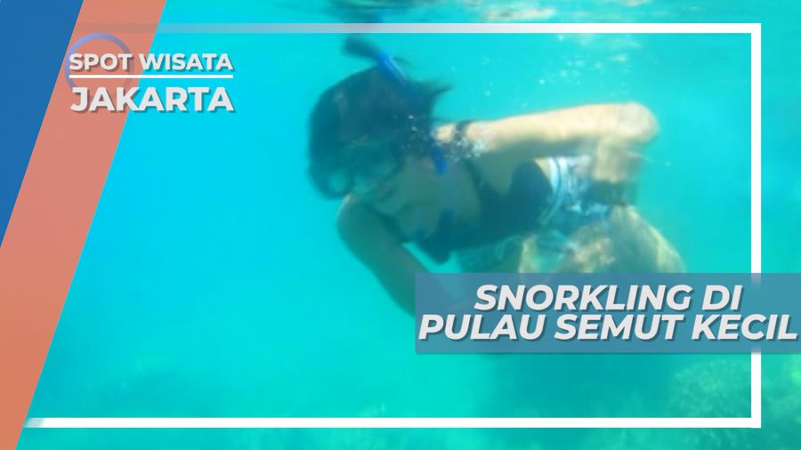 Pulau Semut Kecil, Menyimpan Rahasia Keindahan Bawah Laut, Kepulauan Seribu