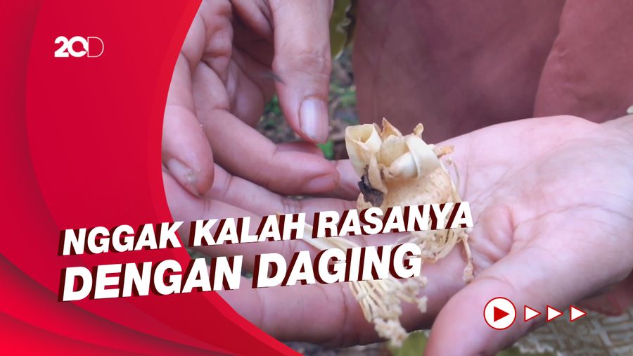 Sensasi Mencicipi Soto Kembang Durian di Kulon Progo