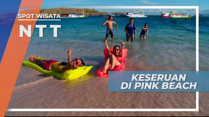 Pink Beach, Pesona Keindahan Pantai di Tanah Komodo, Flores