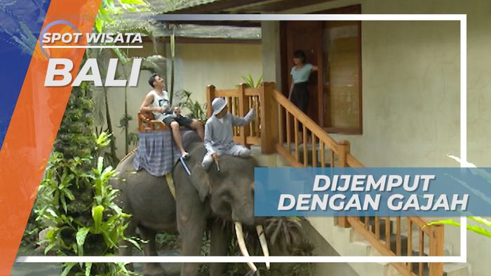 Pengalaman Unik, Di Jemput Gajah Lansung di Depan Kamar Hotel, Bali