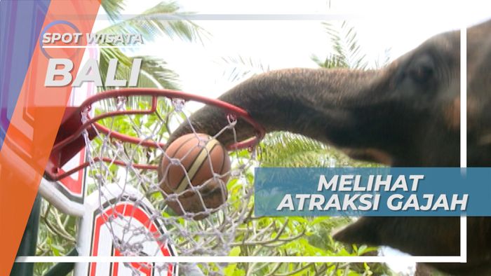 Melihat Atraksi dan Bermain Dengan Gajah di Taman Wisata Satwa, Bali