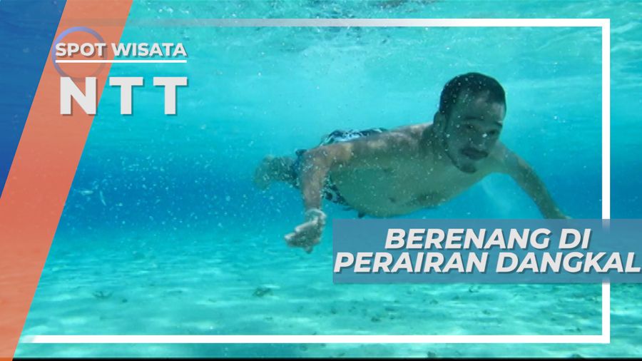 Serunya Berenang di Perairan Dangkal, Kolam Alami Pulau Tatawa, Flores