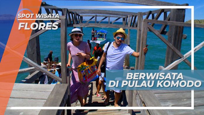 Menjelajahi Rumah Komodo, Satwa Melata yang Dilindungi, Flores