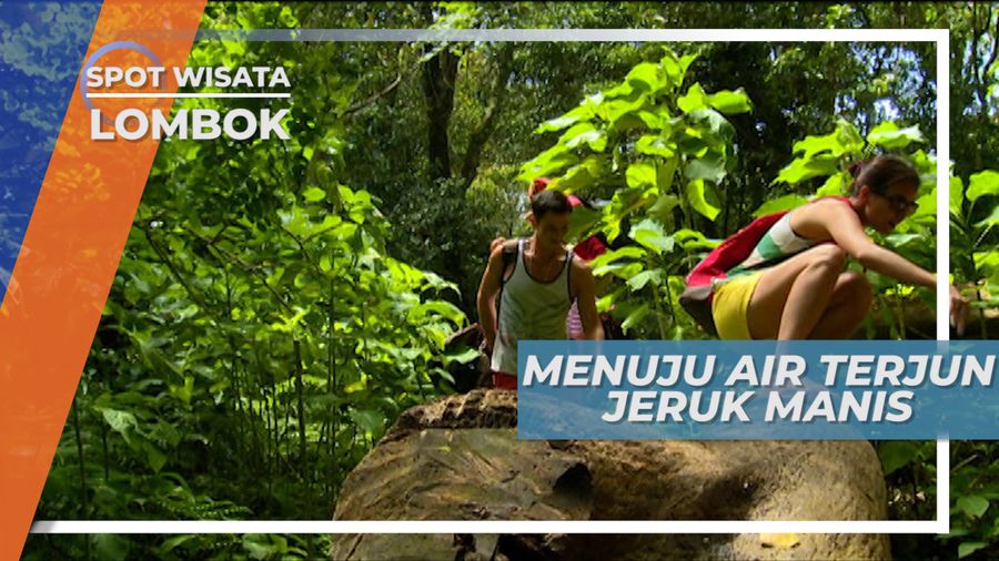Menyusuri Hutan Menuju Air Terjun Jeruk Manis, Lombok