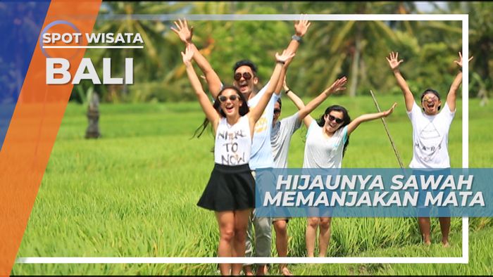 Menikmati Hijaunya Sawah yang Memanjakan Mata, Bali