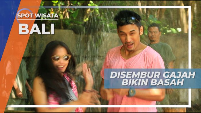 Berbasah-Basah Ria Karena Semburan Air Dari Belalai Gajah Bali