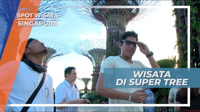 Super Tree Singapura, Pohon Baja Tempat Wisata yang Seru
