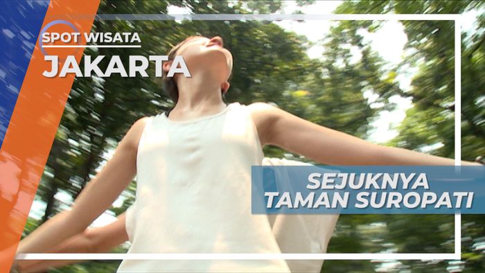 Sejuknya Taman Suropati, Ruang Terbuka Hijau di Pusat Jakarta