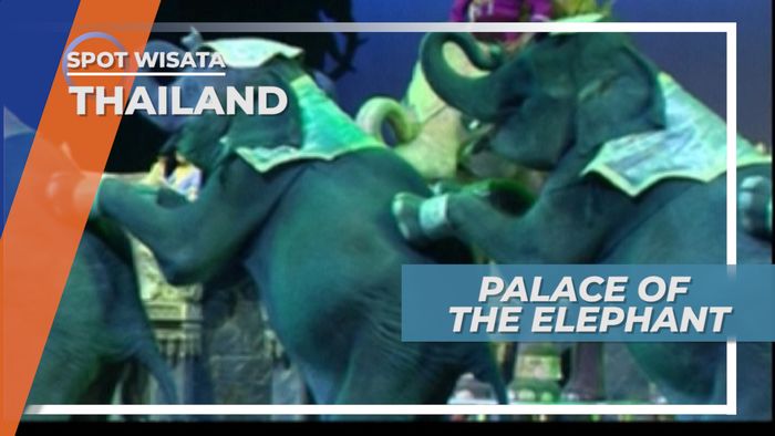 Palace Of The Elephant, Aksi Teatrikal Gajah Phuket Thailand 