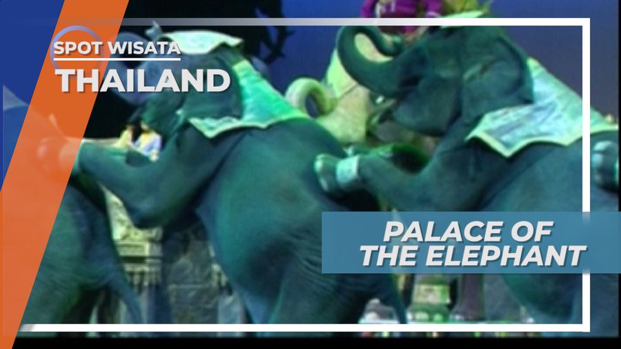 Palace Of The Elephant, Aksi Teatrikal Gajah Phuket Thailand 