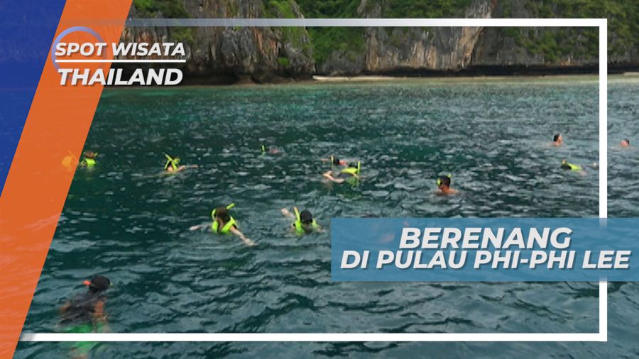 Berenang dan Menikmati Jernihnya AIr Laut di Pulau Phi-phi Lee Thailand