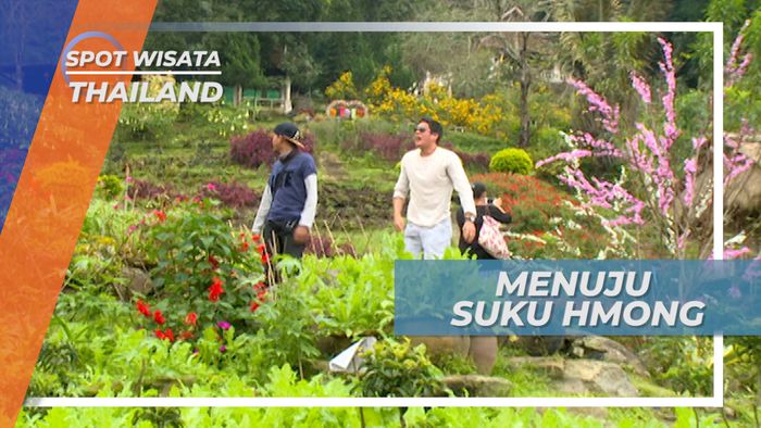 Asri dan Sejuk, Berkunjung ke Desa Suku Hmong Thailand