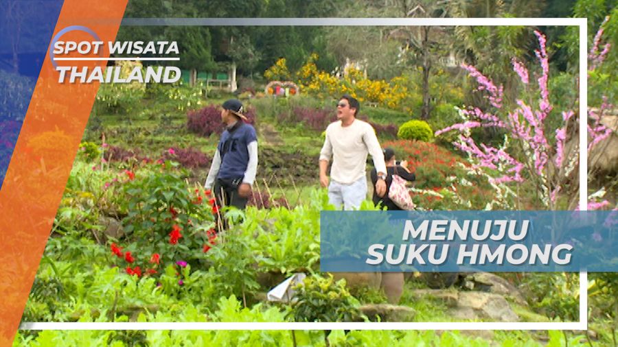 Asri dan Sejuk, Berkunjung ke Desa Suku Hmong Thailand