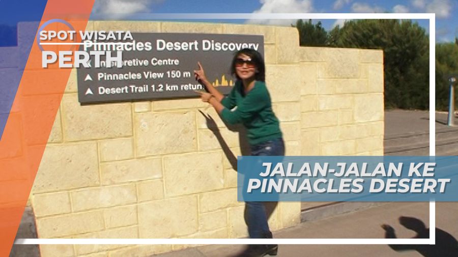 Pinnacles Desert, Panorama Hamparan Luas Padang Pasir, Perth