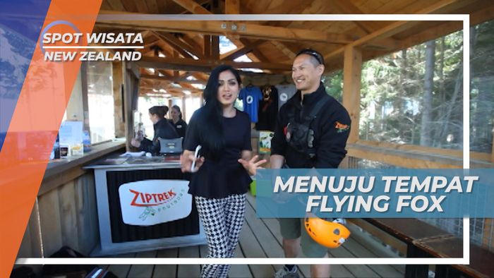 Menembus Lautan Pohon Pinus Menuju Tempat Flying Fox, New Zealand