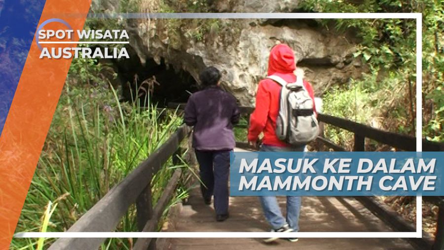 Menelusuri Panorama Unik Mammoth Cave, Australia