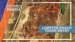 Lobster Tour, Melihat Proses Pengolahan Lobster Langsung di Pabriknya, Perth
