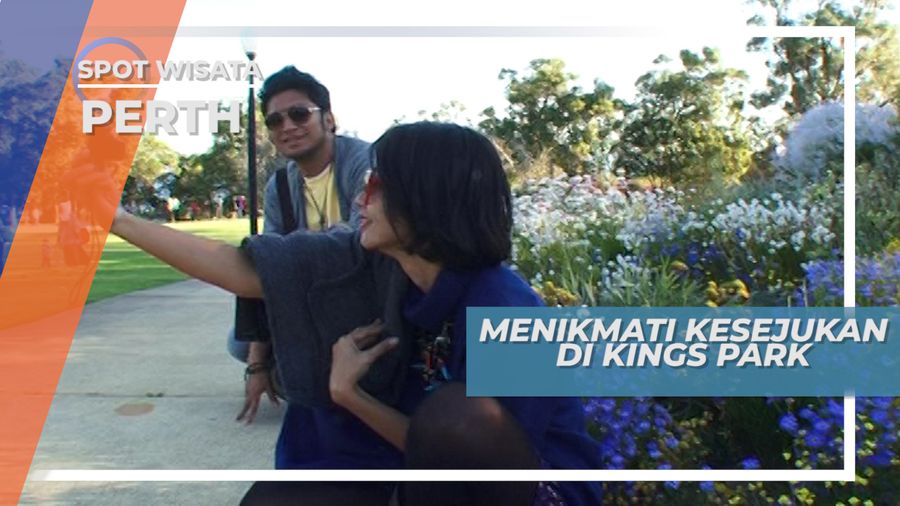 Menikmati Indahnya Warna-warni Bunga di Taman Hijau Terbesar kota Perth, Australia